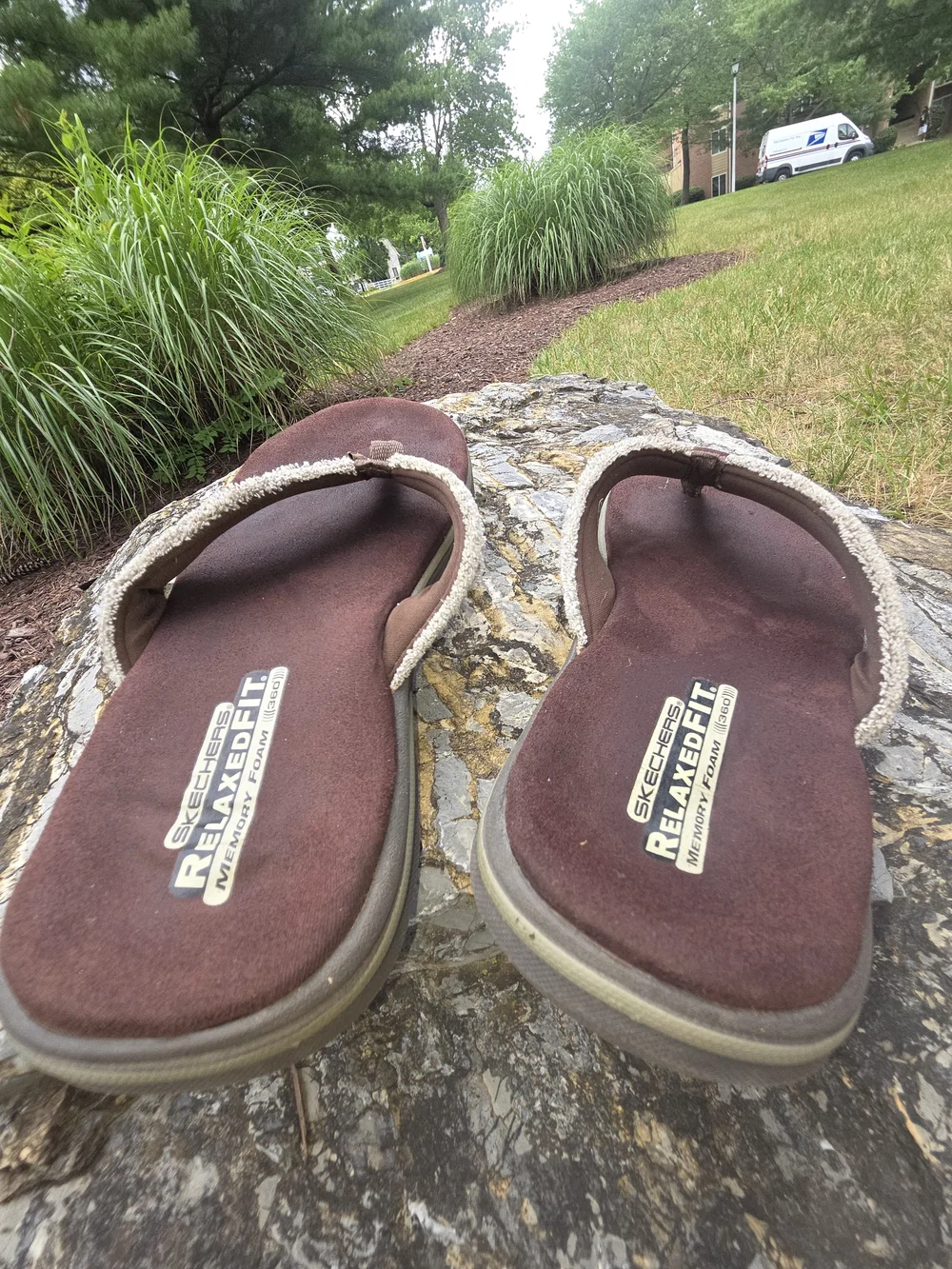 Skechers Kids Brown Flip-Flop Sandals with Cream Straps